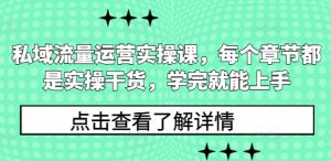 私域流量运营实操课,每个章节都是实操干货,学完就能上手-网赚项目平台