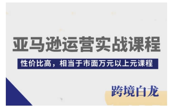 亚马逊运营实战课程，亚马逊从入门到精通，性价比高，相当于市面万元以上元课程-网赚项目平台