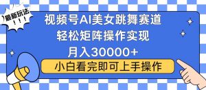 视频号蓝海赛道玩法，当天起号，拉爆流量收益，小白也能轻松月入30000+-网赚项目平台
