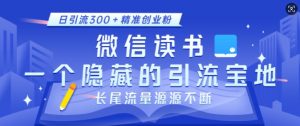 微信读书,一个隐藏的引流宝地,不为人知的小众打法,日引流300+精准创业粉,长尾流量源源不断-网赚项目平台