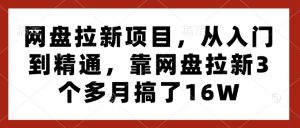 网盘拉新项目,从入门到精通,靠网盘拉新3个多月搞了16W-网赚项目平台