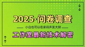 2025问卷调查最新工作室技术解密:一个人在家也可以闷声发大财,小白一天2张,可矩阵放大【揭秘】-网赚项目平台