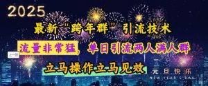 最新“跨年群”引流，流量非常猛，单日引流两人满人群，立马操作立马见效【揭秘】-网赚项目平台