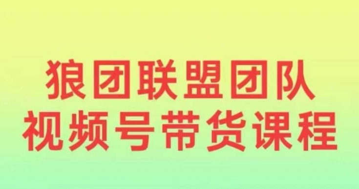 狼团联盟2024视频号带货，0基础小白快速入局视频号-网赚项目平台