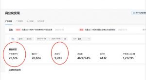 抖音雪花无人直播,一天躺赚3000+,0粉手机可搭建,不违规不限流,小白...-网赚项目平台