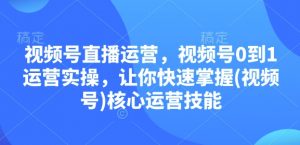 视频号直播运营,视频号0到1运营实操,让你快速掌握(视频号)核心运营技能-网赚项目平台