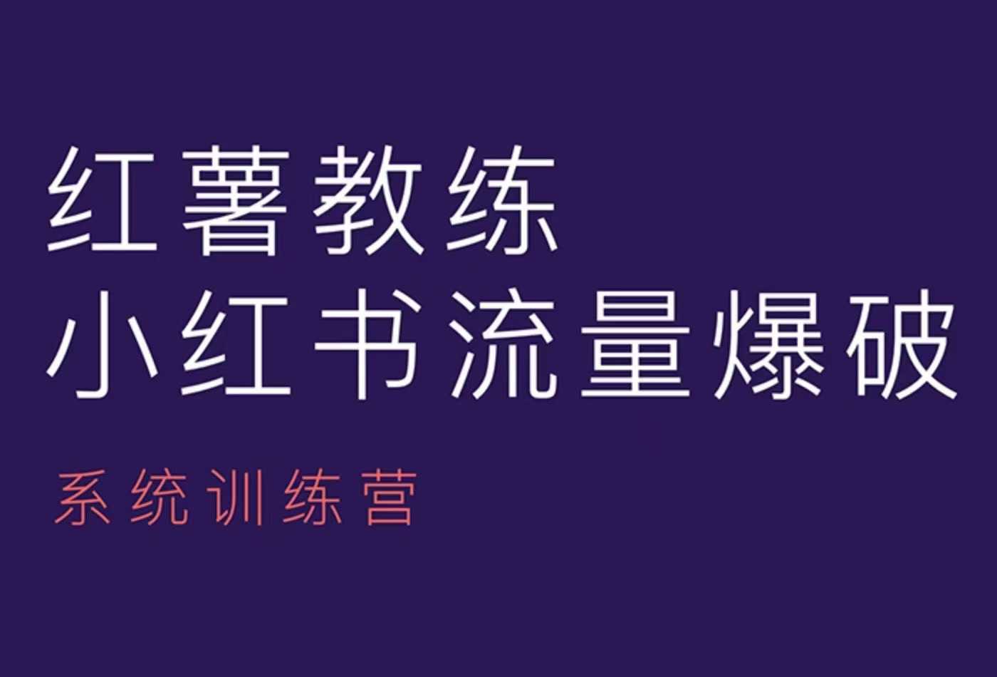 红薯教练-小红书内容运营课，小红书运营学习终点站-网赚项目平台
