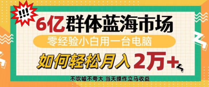 6亿群体蓝海市场，零经验小白用一台电脑，如何轻松月入过w【揭秘】-网赚项目平台