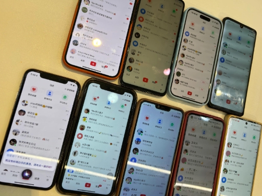 首发揭秘小红书私域日引500+创业粉四大模板,月入过W+全程干货!没有废话!保姆教程!-网赚项目平台