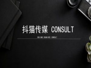 抖猫学院小红书聚光详细操作流程实操-网赚项目平台