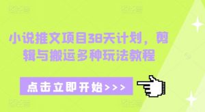 小说推文项目38天计划，剪辑与搬运多种玩法教程-网赚项目平台