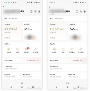 2025视频号蓝海超级暴利自动爆单术1.0 ，小白褔音 简单剪辑 不直播 不挂车-网赚项目平台