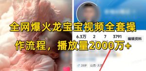 全网爆火龙宝宝视频全套操作流程，播放量2000万+-网赚项目平台