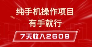 纯手机操作的小项目，有手就能做，7天收入2609+实操教程【揭秘】-网赚项目平台