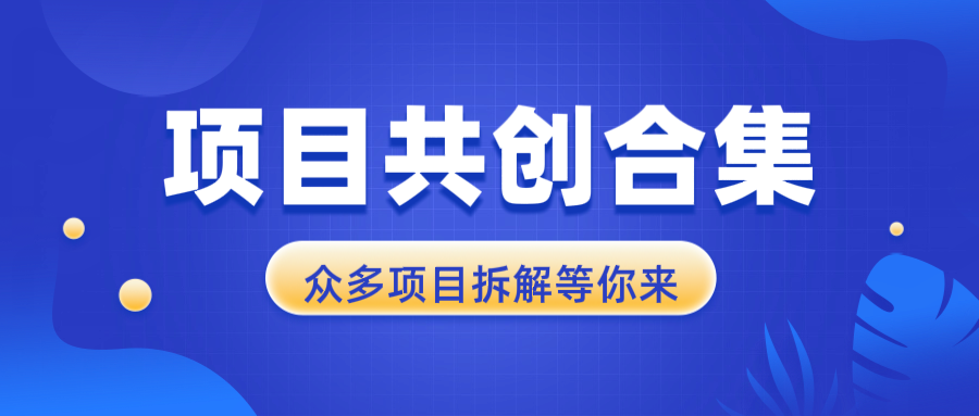 项目共创合集，从0-1全过程拆解，让你迅速找到适合自已的项目-网赚项目平台