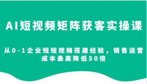 AI短视频矩阵获客实操课,从0-1企业短短视频搭建经验,销售运营成本最高降低50倍-网赚项目平台