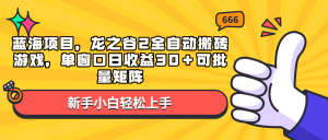 蓝海项目，龙之谷2全自动搬砖游戏，单窗口日收益30＋可批量矩阵-网赚项目平台