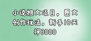 小说推文项目，图文创作玩法，新手10天挣3000-网赚项目平台
