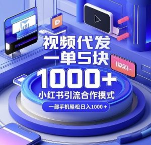 视频代发，一单5块，小红书引流合作模式，一部手机轻松日入多张【揭秘】-网赚项目平台