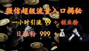 微信超级流量入口揭秘:一小时引流 99 + 创业粉,日涨粉 999 +-网赚项目平台
