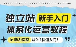 独立站新手入门体系化运营教程，助力独立站卖家从0-1快速入门!-网赚项目平台