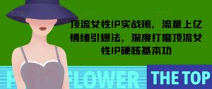顶流女性IP实战班,流量上亿情绪引爆法,深度打磨顶流女性IP硬核基本功-网赚项目平台