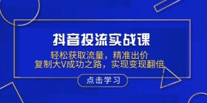 抖音投流实战课，轻松获取流量，精准出价，复制大V成功之路，实现变现翻倍-网赚项目平台