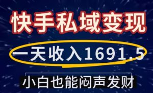 一天收入1691.5,快手私域变现,小白也能闷声发财-网赚项目平台
