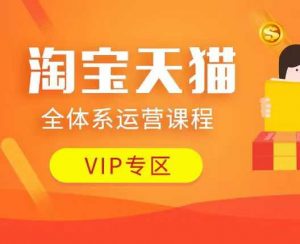 淘宝天猫全体系运营课程：店铺全系运营、动销玩法、付费推广、流量提升、擦边球玩法等等-网赚项目平台