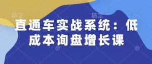 直通车实战系统：低成本询盘增长课，让个人通过技能实现升职加薪，让企业低成本获客，订单源源不断-网赚项目平台