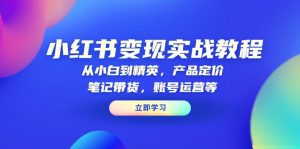 小红书变现实战教程：从小白到精英，产品定价，笔记带货，账号运营等-网赚项目平台