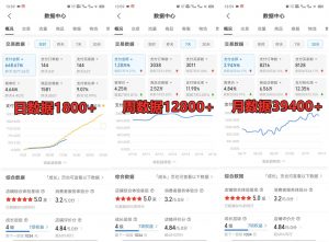 拼多多虚拟店铺项目,电脑挂机自动发货,单店日利润300+-网赚项目平台