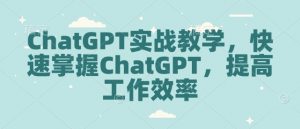 ChatGPT实战教学，快速掌握ChatGPT，提高工作效率-网赚项目平台