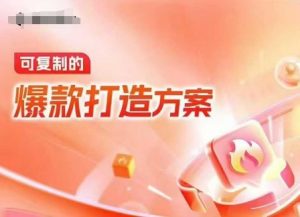 天猫电商爆款运营，可复制的爆款打造方案(线下内训课录音+字幕)-网赚项目平台