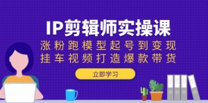 IP剪辑师实操课：涨粉跑模型起号到变现，挂车视频打造爆款带货-网赚项目平台