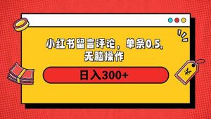 小红书评论单条0.5元，日入300＋，无上限，详细操作流程-网赚项目平台