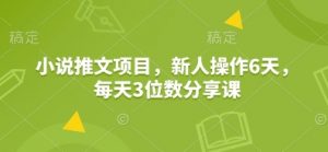 小说推文项目，新人操作6天，每天3位数分享课-网赚项目平台