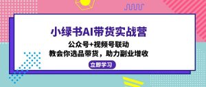 小绿书AI带货实战营:公众号+视频号联动,教会你选品带货,助力副业增收-网赚项目平台