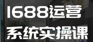 1688高阶运营系统实操课,快速掌握1688店铺运营的核心玩法-网赚项目平台