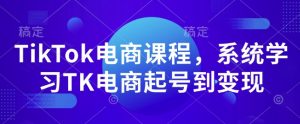 TikTok电商课程,系统学习TK电商起号到变现-网赚项目平台