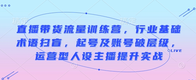 直播带货流量训练营，行业基础术语扫盲，起号及账号破层级，运营型人设主播提升实战-网赚项目平台