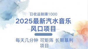 2025最新汽水音乐躺赚项目 每天几分钟 日入1000＋-网赚项目平台