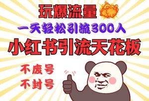 小红书引流天花板,玩爆流量,一天轻松引流300人,安全操作-网赚项目平台