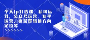 个人ip打造课，私域运营，公众号运营，知乎运营，底层逻辑和方向定位等-网赚项目平台