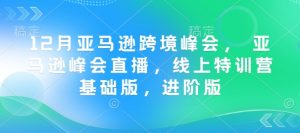 12月亚马逊跨境峰会, 亚马逊峰会直播,线上特训营基础版,进阶版-网赚项目平台
