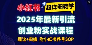 2025年最新小红书引流创业粉实战课程【超详细教学】小白轻松上手，月入1W+，附小红书养号SOP-网赚项目平台