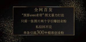 小红书神奇图片引流法,只需一张图,就能单条笔记凭借此方法,轻松引流 300 + 精准创业粉-网赚项目平台
