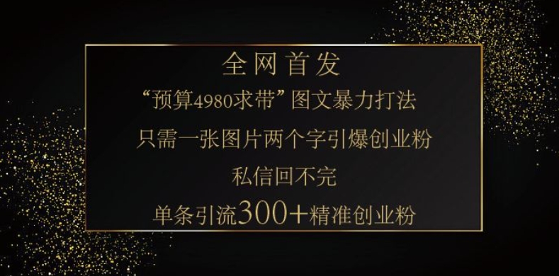 小红书神奇图片引流法,只需一张图,就能单条笔记凭借此方法,轻松引流 300 + 精准创业粉-网赚项目平台