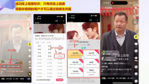 书阳老师·短剧运营变现之路-网赚项目平台