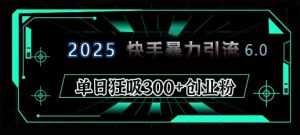 2025年快手6.0保姆级教程震撼来袭，单日狂吸300+精准创业粉-网赚项目平台